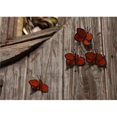 Papillon (Orange)