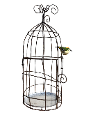 Cage oiseau (oiseau au choix)