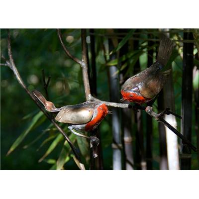 Tuteur 2 Rouges-gorges sur branche