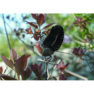 Tuteur Rouge-gorge ailes ouvertes