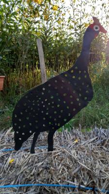 Silhouette Pintade (modèle5)