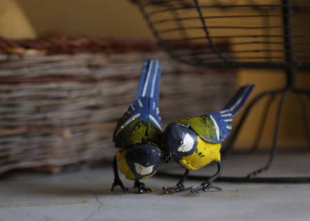 Couples d'oiseaux