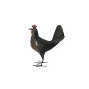 Poule "Rouille"