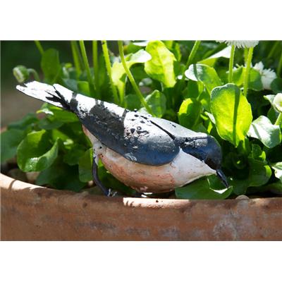 Sitelle Torchepot picore