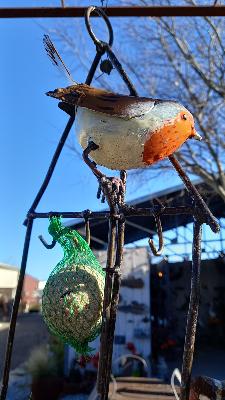 Suet feeder Robin