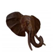 Trophée Eléphant