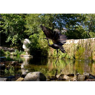 Egret taking off