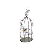 Cage GM