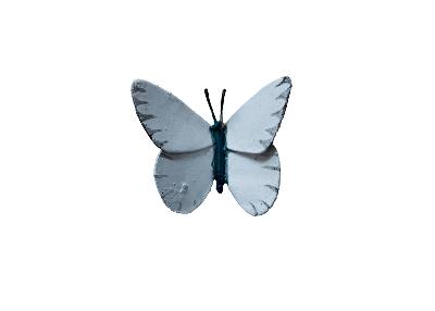 Papillon Piéride du Chou (blanc) à fixer