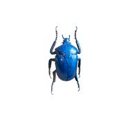 Royal blue beetle