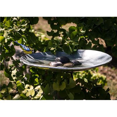 Bain d'oiseaux & Galet GM