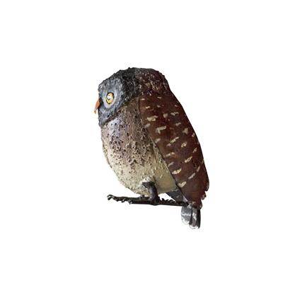 Eurasian pygmy owl