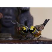 Couple de Bruant zizi