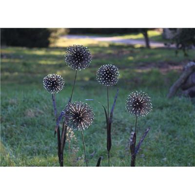 Garlic flower