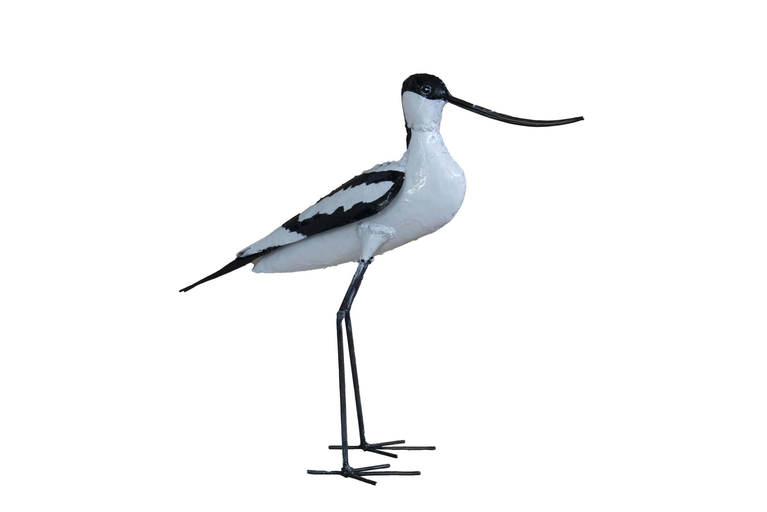 Avocet