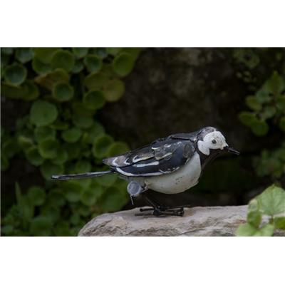 Wagtail