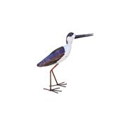 Black-winged stilt