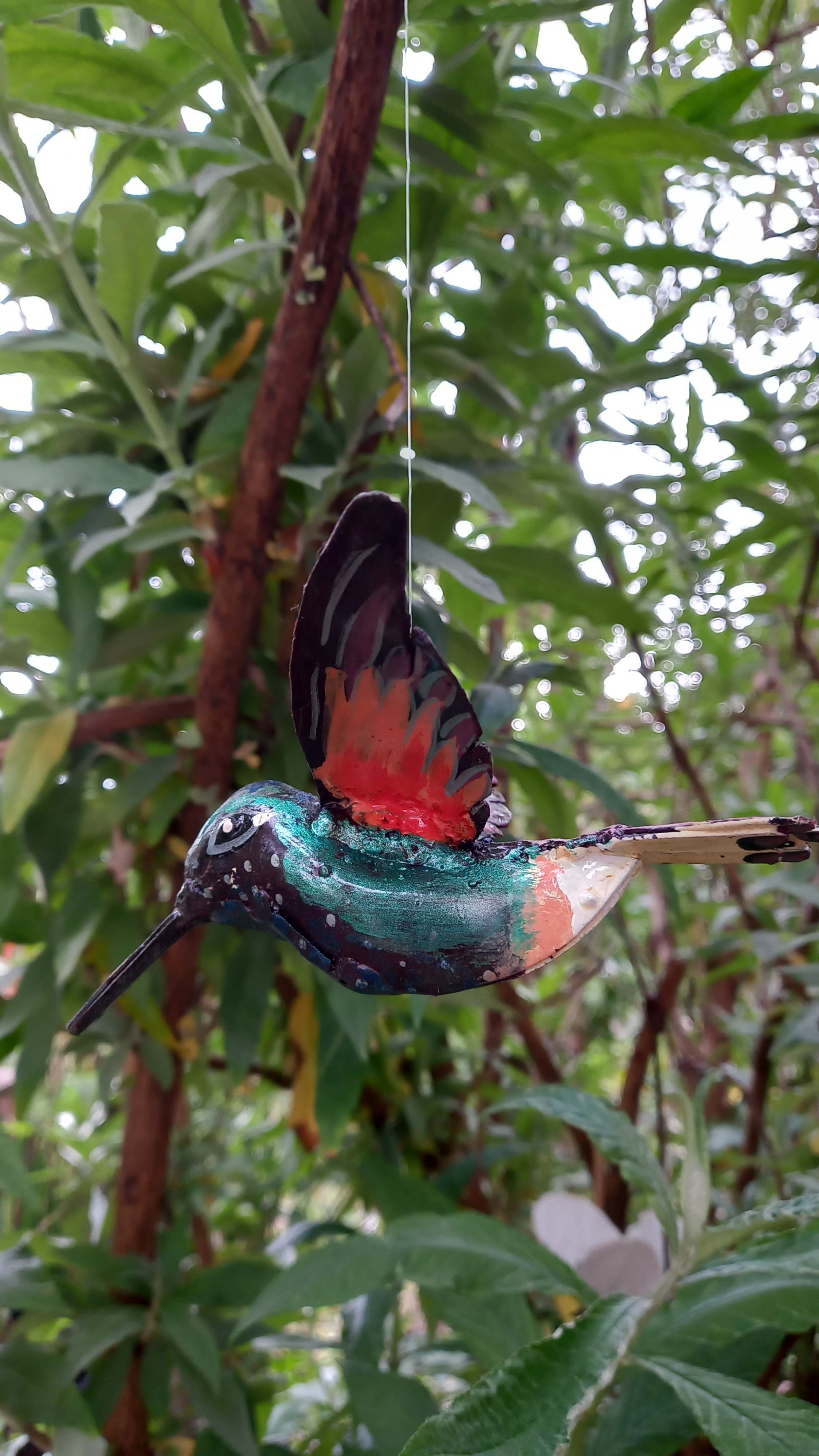 Colibri Orange