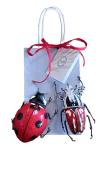Lot de 2=Insectes Goliath+Coccinelle