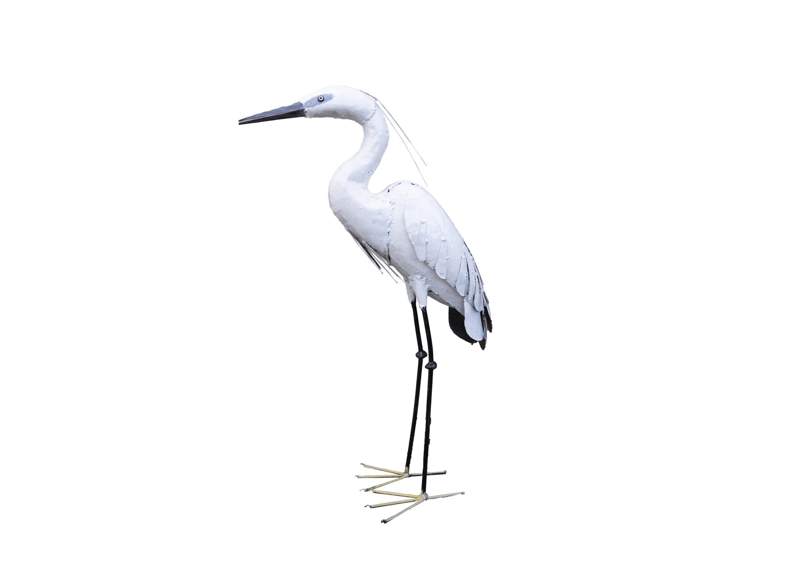 Aigrette blanche