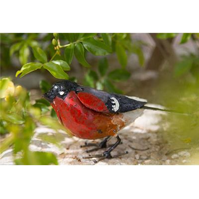 Bullfinch singing