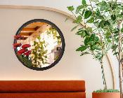 Miroir Rouge Gorge