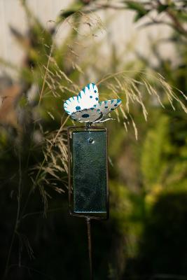 Tuteur Verre Papillon Atlantis