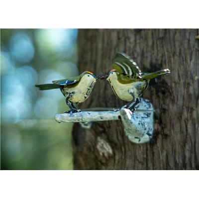 Couple of Kinglet on branch