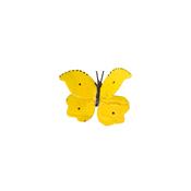 Papillon Citron de Provence