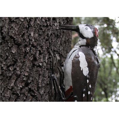 Great spotted woodpecker