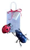 Lot de 2=Insectes Coccinelle+Scarabée Bleu