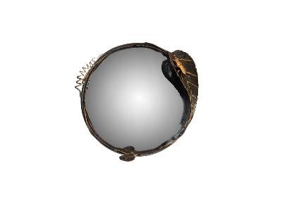 Miroir sorcière scarabée