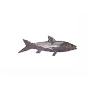 Sardine à fixer