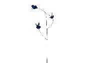 Tuteur 3 Papillons Bleus Azur du Midi
