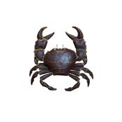 Crabe