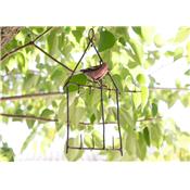 Suet feeder Chaffinch