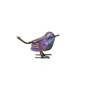 Troglodyte Mignon chante