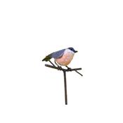 Plant stake Eurasian nuthatch