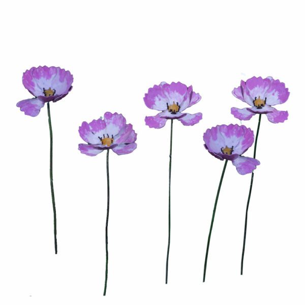 Cosmos Bouquet de 5