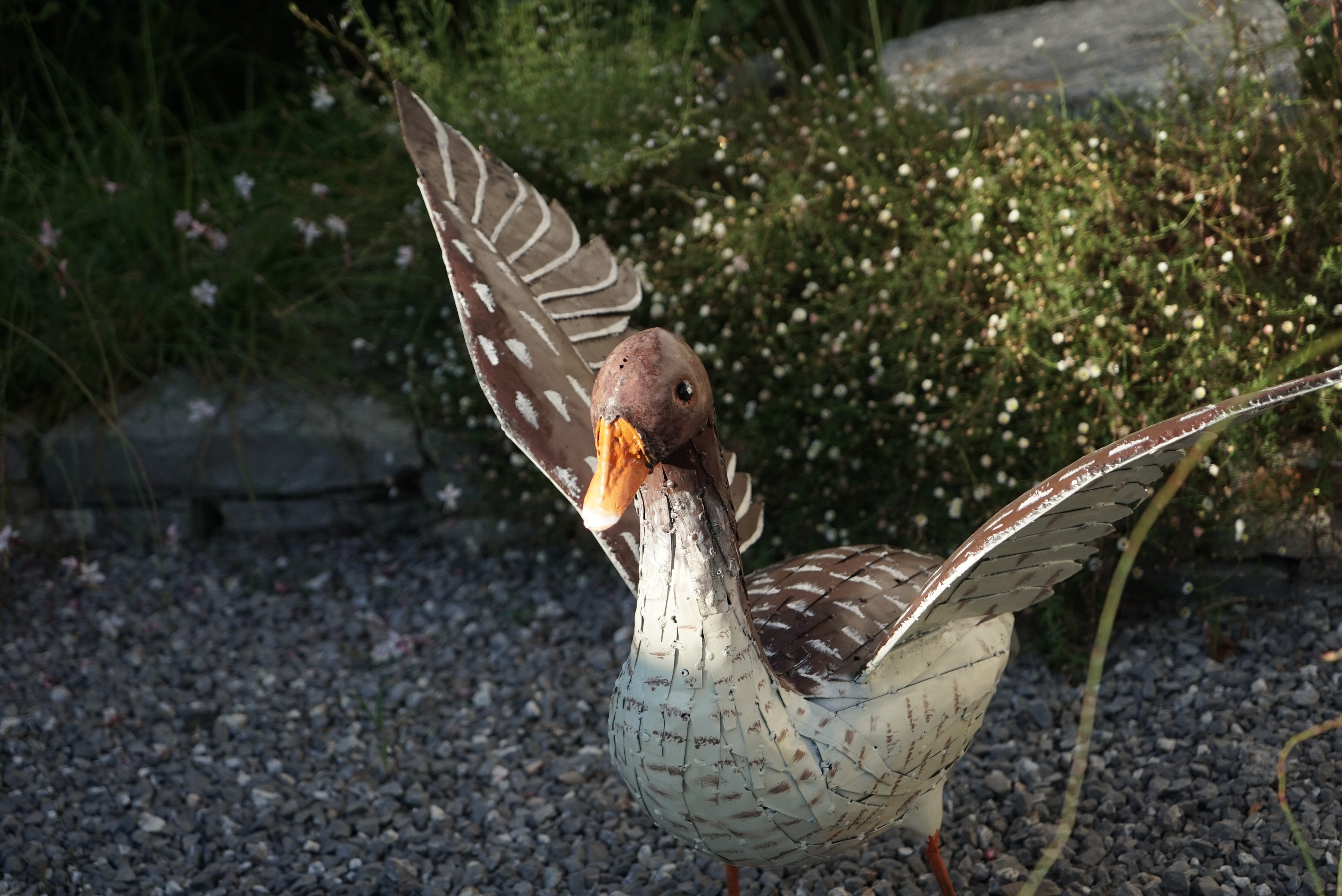 Oie de Toulouse ailes ouvertes