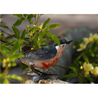 Sitelle Torchepot chante