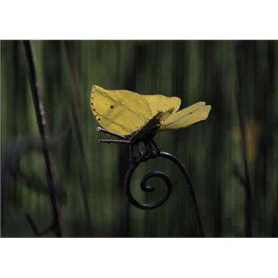 Tuteur papillon Citron de Provence