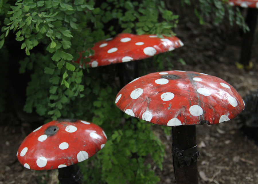Les champignons