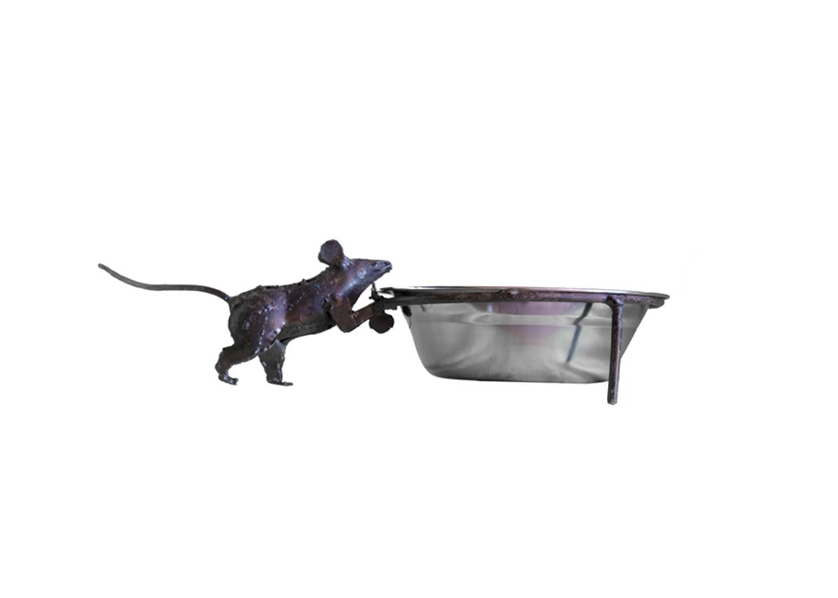 video pour chat souris voleuse