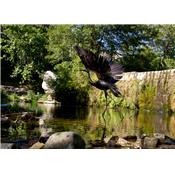 Egret taking off