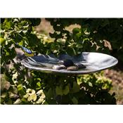 Bain d'oiseaux & Galet GM