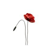 Coquelicot Rouge Moyen & bouton