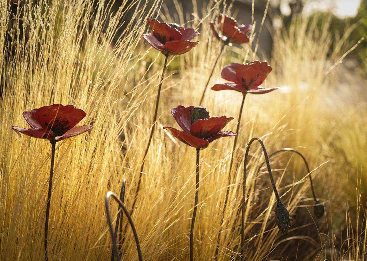 Les fleurs