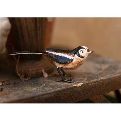 Long-tailed tit