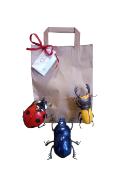 Lot de 3=Insectes Coccinelle+Scarabée Bleu+Lucane